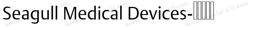 Seagull Medical Devices字体转换